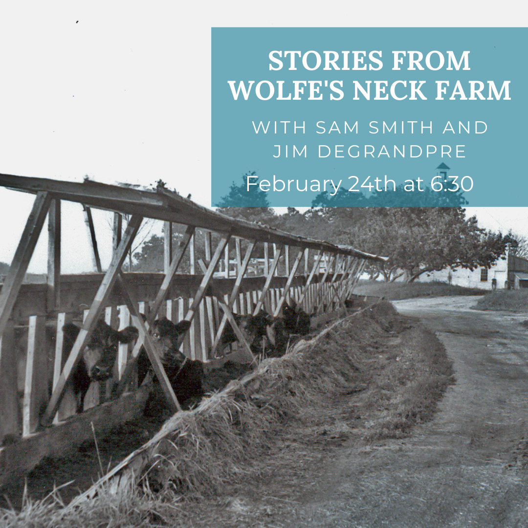 Black and white image of cows looking out from a fence at Wolfe's Neck Farm. Text box reading: Stories from Wolfe's Neck Farm with Sam Smith and Jim DeGrandpre February 24th at 6:30