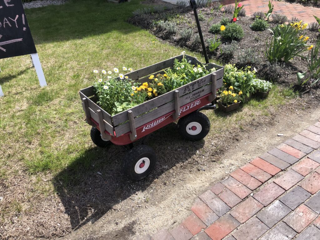 A red wagon loaded with plants sits on a grassy area with a brick walkway
